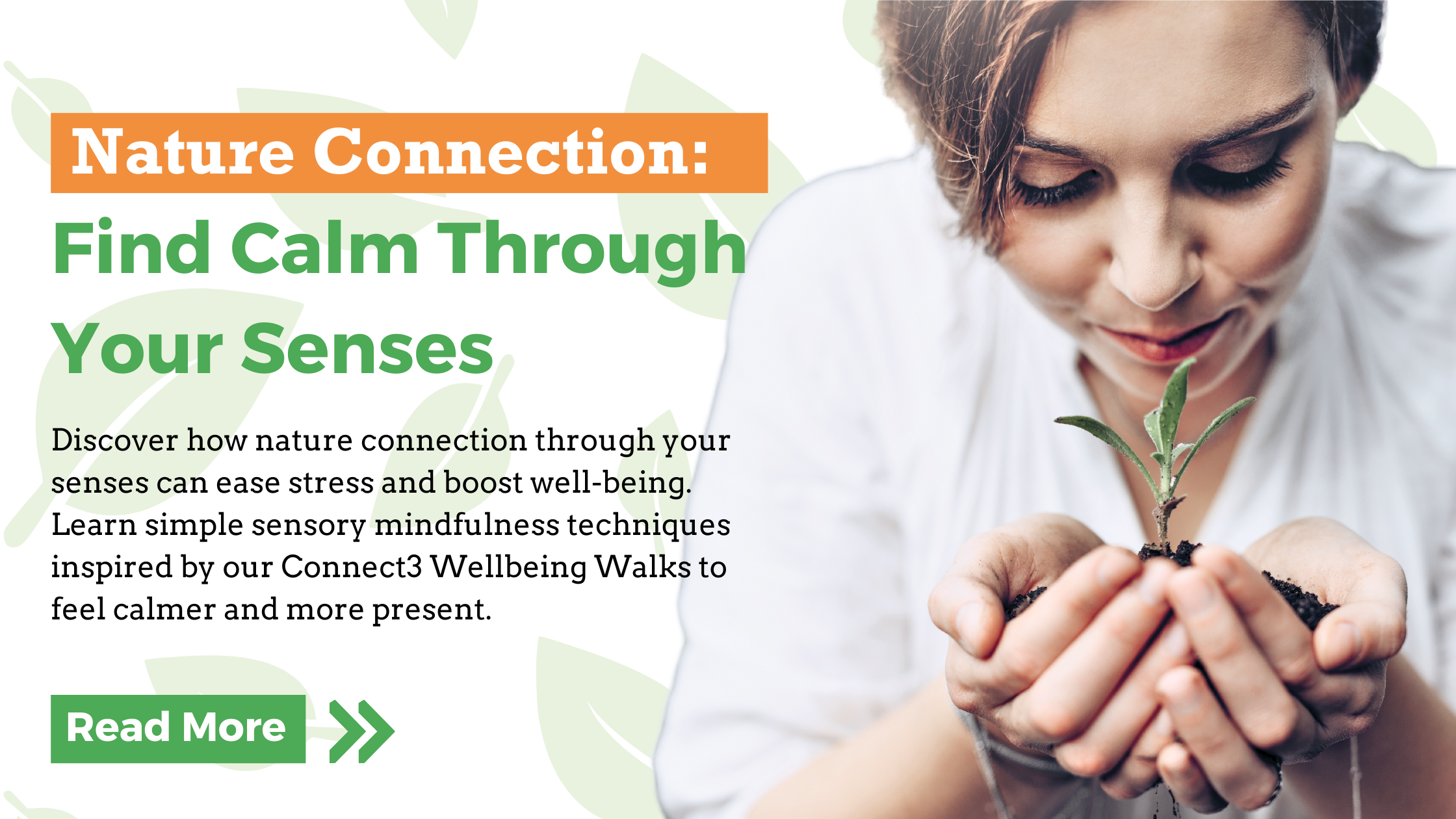 Nature Connection: Find Calm Through Your Senses — Mudita Salus CIC